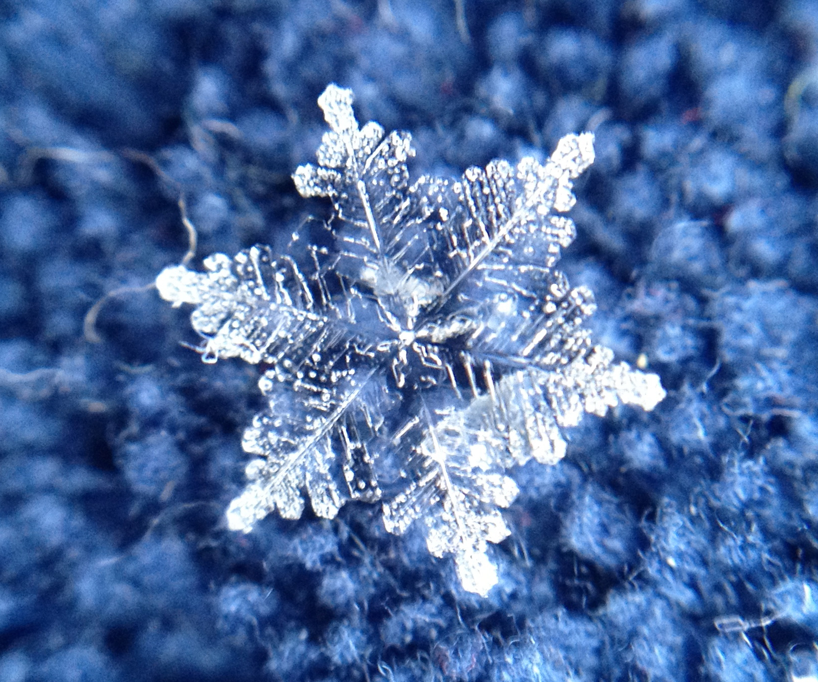 What Is A Unique Snowflake